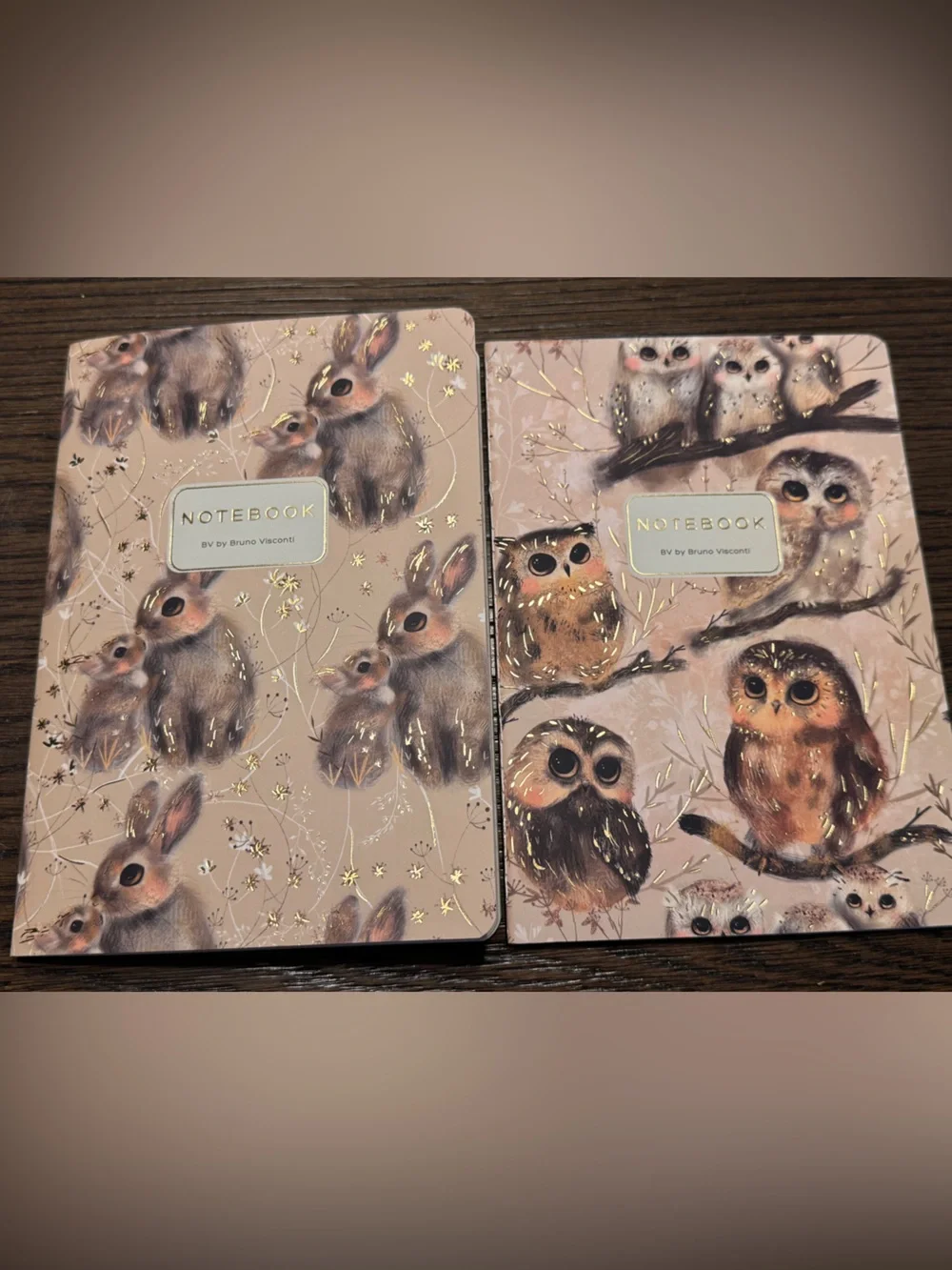 2 Pack Gorgeous Soft Touch Journals - BV by Bruno Visconti - Amazing Unique Gift